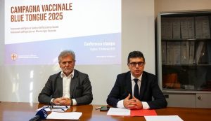 Blue Tongue: Vaccinazioni di Massa in Partenza dal Marzo 2024