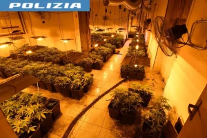 Alessandria: Bloccata Operazione Droga, Sequestrate 1300 Piantine di Cannabis in un Albergo Abbandonato