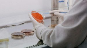 La guarigione delle metastasi: un passo avanti nella battaglia contro il cancro