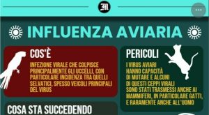 Influenza aviaria: il virus asintomatico che si diffonde silenziosamente tra le persone
