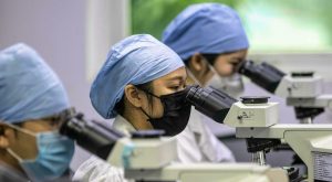 La trasmissione di virus dai pipistrelli all’uomo: ciò che sappiamo e i potenziali rischi