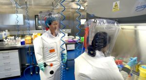 Scoperto a Wuhan un nuovo coronavirus, HKU5-CoV-2, legato a animali ma nessun caso sull’uomo