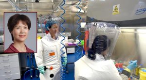 Scopri la Batwoman del laboratorio di Wuhan e le ricerche sui pipistrelli nelle grotte subtropicali