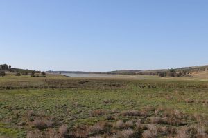 Siccità 2024: Emergenza in Abruzzo Dichiarata Calamità Naturale