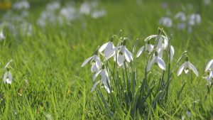 Sport invernali in TV: orari e programma del mercoledì 12 febbraio, streaming incluso