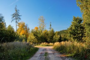 Atletica in TV oggi: World Indoor Tour Boston 2025 – Orari, Programma, Streaming e Partecipazione di Jacobs