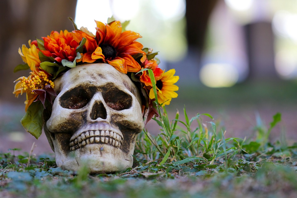 halloween-4814489_960_720.jpg