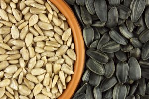 Semi di girasole e mix senza salmonella: aggiornamento sulla presenza del batterio