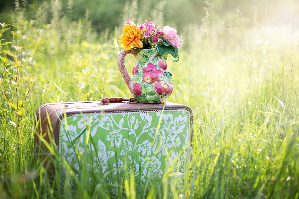 summer-still-life-785231_960_720.jpg
