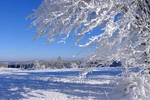 Prove discesa Mondiali Saalbach: Orari in TV, startlist e streaming dello sci alpino