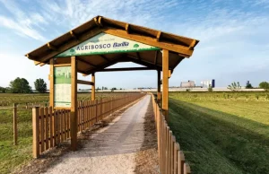 Il Gruppo Barilla si impegna per la sostenibilità ambientale, migliorando i processi tecnologici per...