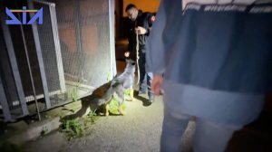 Dieci Arresti nel Salernitano: Smantellata Rete di Scambio Elettorale Politico-Mafioso