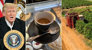8702664_08175718_caffe_prezzo_aumento_perche_cause_costo_oggi_9_3_2025.jpg