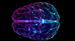 Il legame tra memoria di lavoro e dopamina: come alcuni farmaci possono comprometterla anziché potenziarla