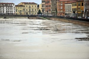 Arno-1.jpg