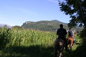 Parte da Varese il pellegrinaggio equestre per il Giubileo organizzato da Confagricoltura