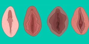 “Le sorprendenti trasformazioni della vagina durante la gravidanza” 
1. Cambiamenti dell’aspetto
2. Aumento del flusso sanguigno
3. Variazioni dei livelli di umidità
4. Dilatazione del canale del parto
5. Maggiore sensibilità
6. Possibili sintomi come prurito e bruciore
7. Adattamenti al corpo post-parto