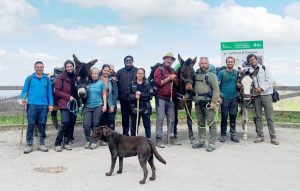 Asino di Pantelleria: La Nuova Attrazione Turistica di Reggio Emilia