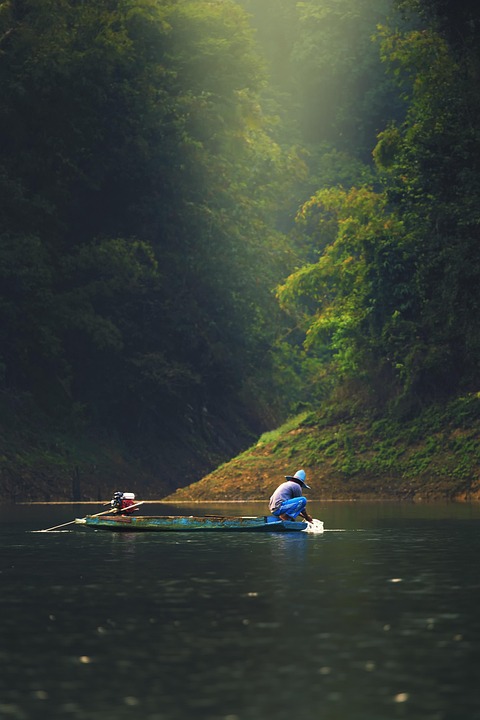 fishing-4058599_960_720.jpg