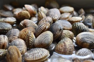 Vongole fresche: controllo microbiologico per garantirne la sicurezza alimentare