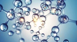 Studio australiano: impatto dei cambiamenti nel microbioma intestinale sulla risposta agli anticorpi dei vaccini