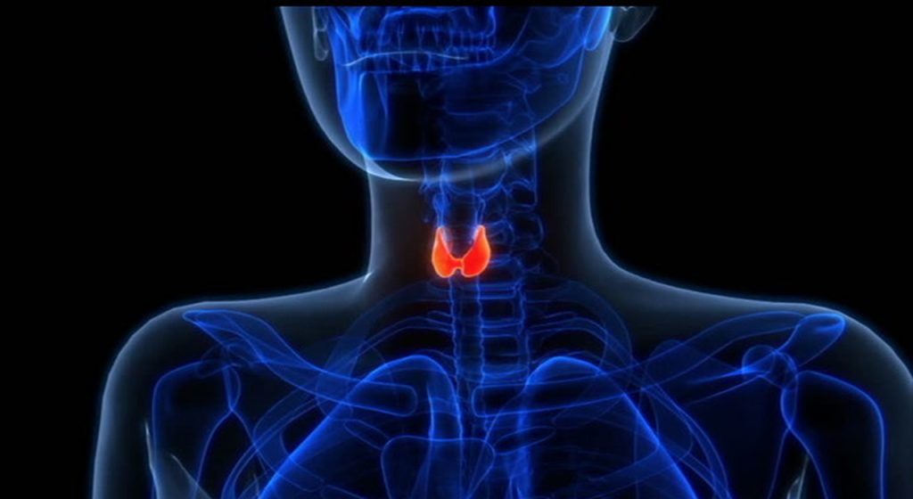 Malattia da conoscere: tutto sull’ipoparatiroidismo