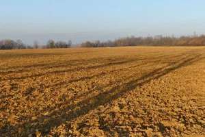 Terreno-agricolo-1.jpg