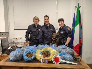 Scoperta Cannabis: 7 Kg di Marijuana Nascosta in un Orto a Milano