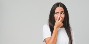 iStock-1386862949.jpg