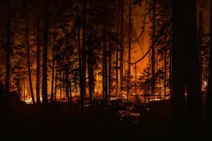 incendi.jpg