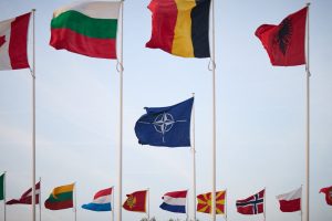 nato-ipa.jpg