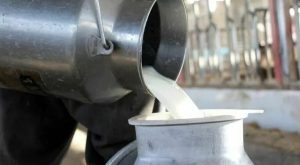 8831353_12161943_latte_crudo_benefici_rischi_salute_formaggi_parere_medici_oggi_12_5_2025.jpg