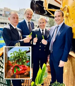 Occhiuto-pianta-di-peperoncino.jpg