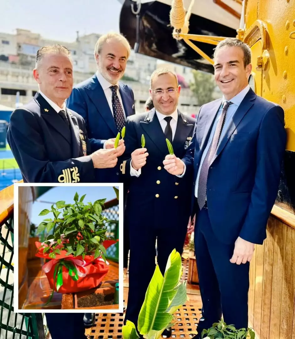 Occhiuto-pianta-di-peperoncino.jpg