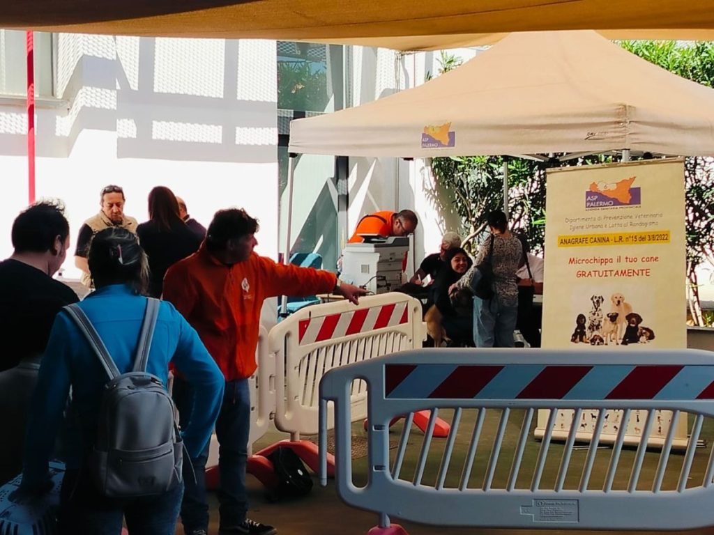 Microchippatura gratuita per cani e gatti a Palermo: eventi al Centro Guadagna.
