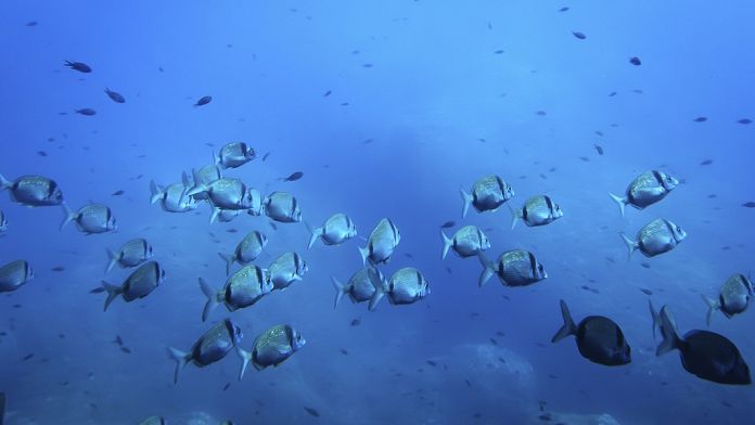 696x392_cmsv2_c20d2435-0650-558d-b9ca-d638b0396584-9324445.jpg