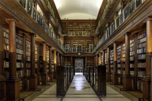 Bibliotecario-concorsi-630x420