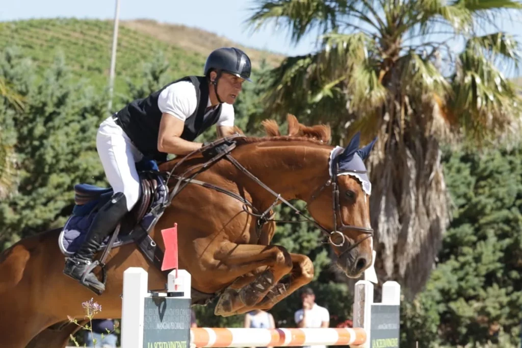 Horse-Photo-1.jpg