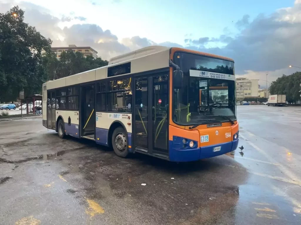 Navette-Amat-1.jpg