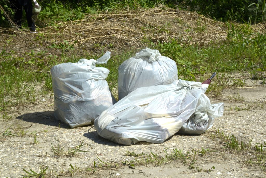 Plastic-Free.jpg