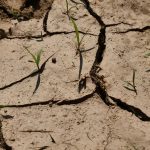 Clima e siccità, l’allarme: “L’Italia rischia una crisi irreversibile, servono interventi immediati”
