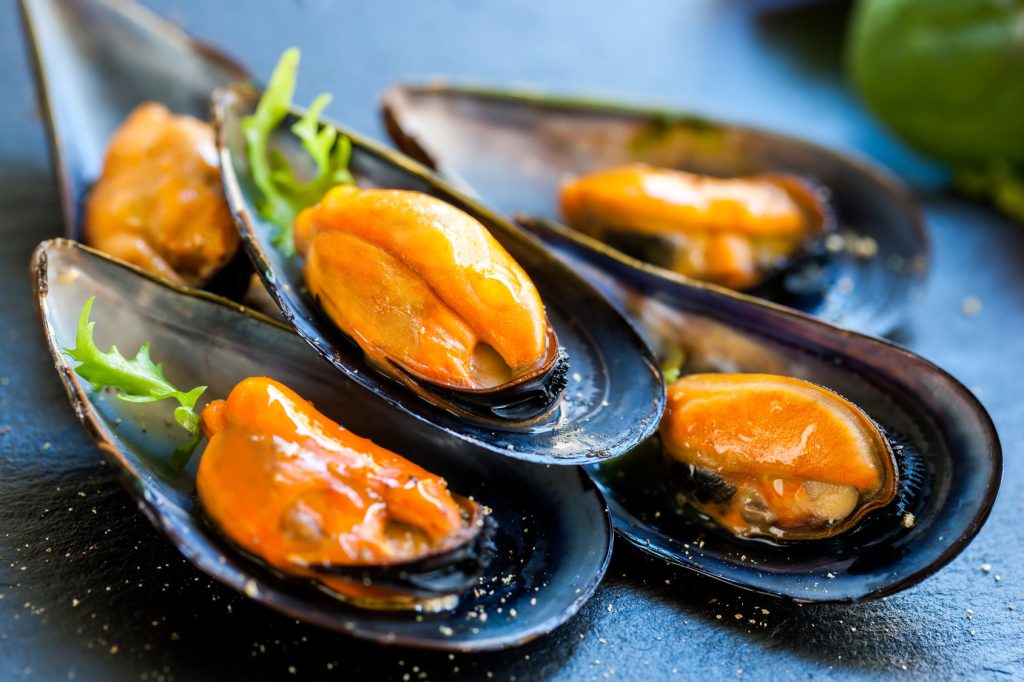 cozze-molluschi-Fotolia_93400023_Subscription_Monthly_M.jpg