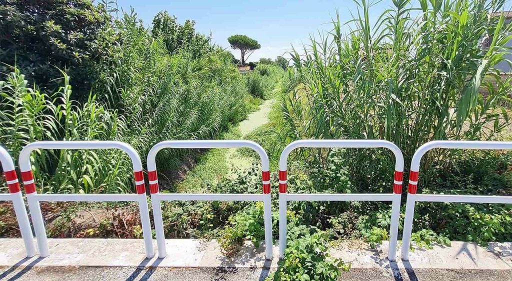 Scoprire il Mondo della Fotografia: Arte e Tecnica La fotografia è un’arte che coglie istanti in...