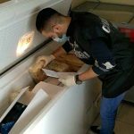 Quattro ristoranti chiusi e multe oltre 20.000 euro per violazioni gravi.