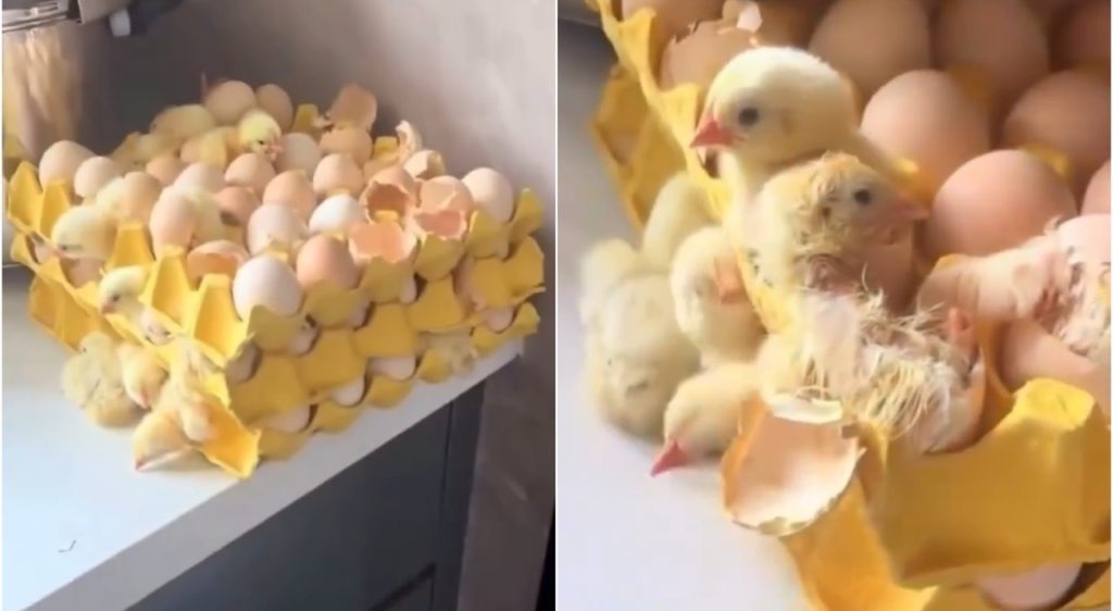 Il mistero degli errori virali: succede a chiunque, scopri la verità!