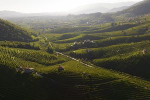 Colline-del-Prosecco.jpeg