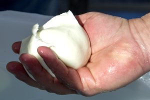 Mozzarella-di-bufala.jpg