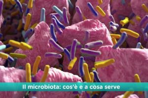 Dieta e microbiota: il segreto per un intestino sano e in equilibrio.