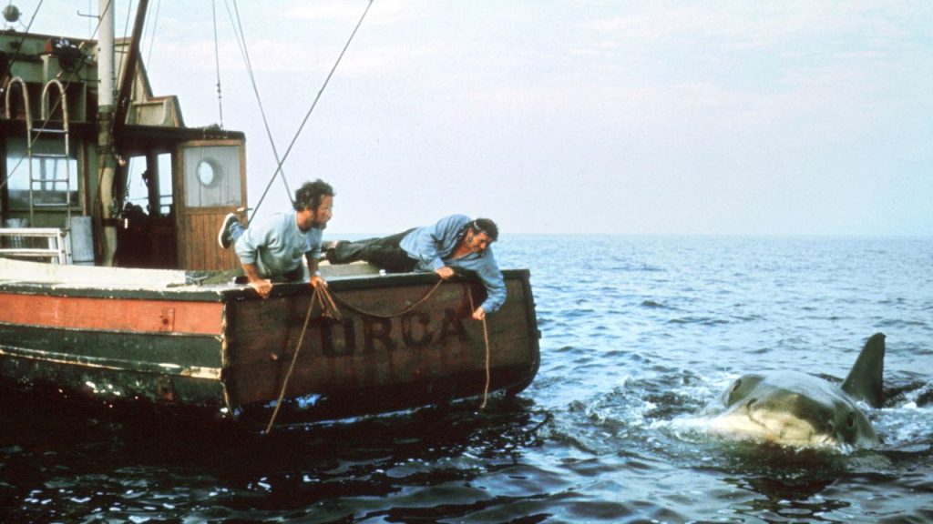 Martha’s Vineyard: 50 anni dopo ‘Lo Squalo’ e il suo impatto duraturo