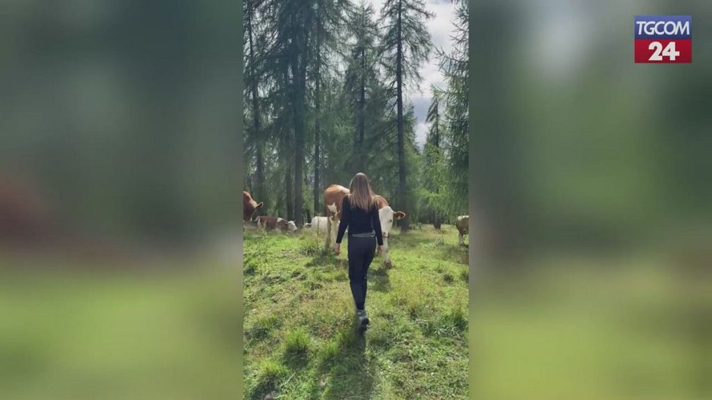 Ilary Blasi: vacanze in montagna tra natura, relax e incontri con le mucche.